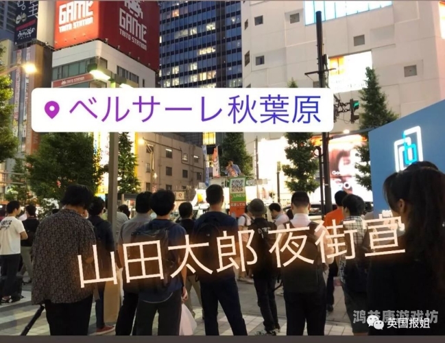 成年无码一区视频，探索网络世界的多元魅力