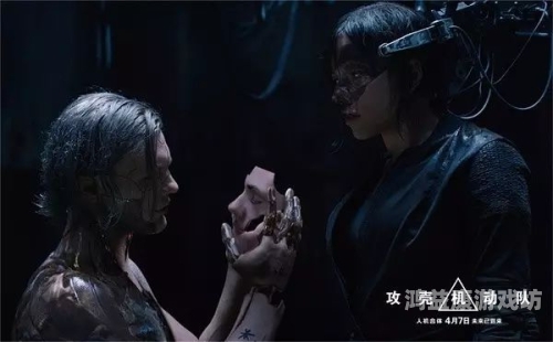 成年无码一区视频，探索网络世界的多元魅力