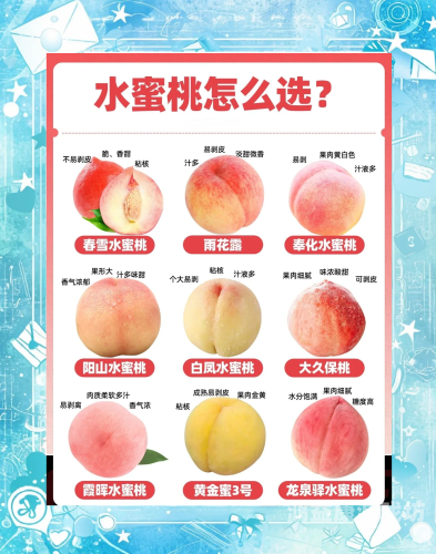 蜜桃一区二区三区，无码在线观看，探索神秘视频世界