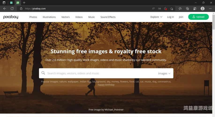 免费无遮挡一类视频网站在线观看免费无遮挡类视频网站推荐，探索海量精彩内容