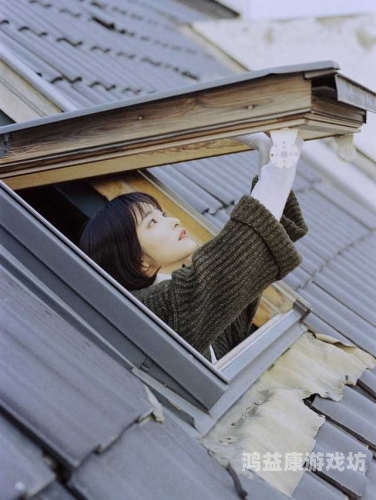 亚洲情黄网站在线视频亚洲情黄网站，深度解析在线视频的魅力