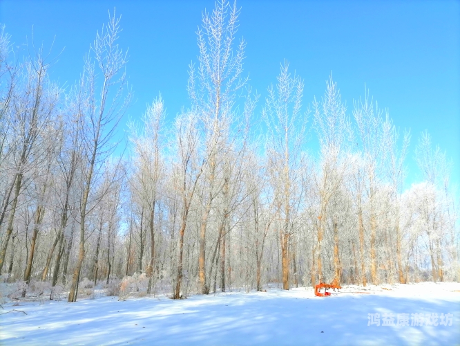 精品国精品国产自在久91精品国国产自在久91，品质生活的追求与体验