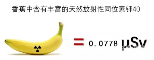 一本大道性久香蕉在线观看大道之香蕉，在线观看引领潮流