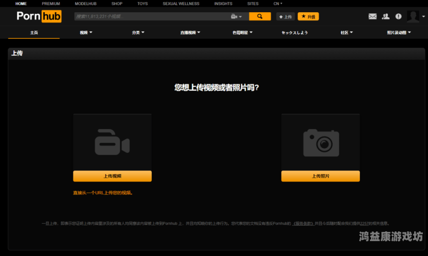 国产黄网免费视频，探索网络文化新风尚国产黄网免费视频网站