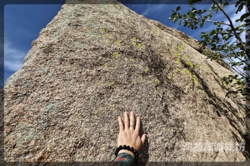 亚洲日韩国产天堂网亚洲日韩国产天堂，探寻神秘魅力与商机