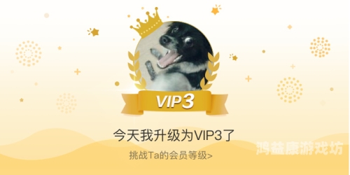 国产VA在线观看免费看，新闻资讯网站解读