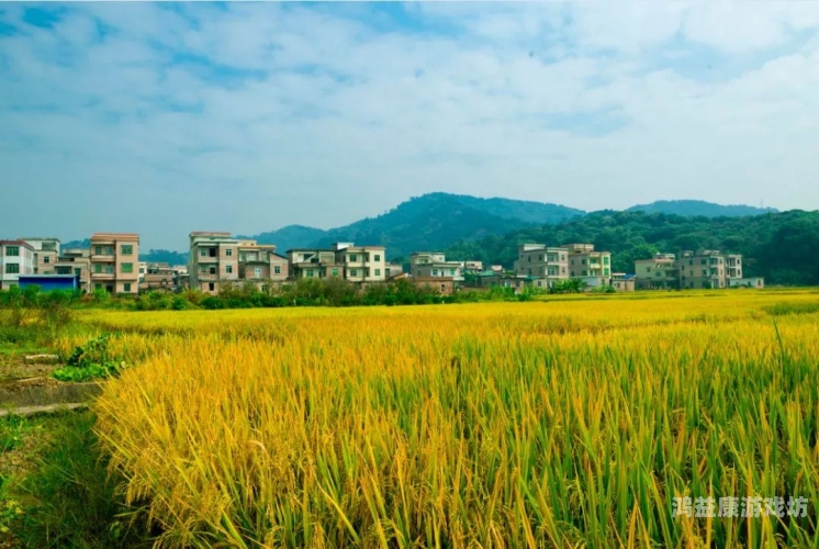 青青国产视频在线播放，引领潮流，内容丰富青青青国产手线2019