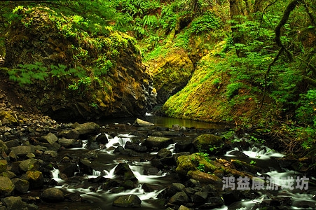 亚洲天堂在线观看视频，探索神秘魅力与丰富资源大地资源在线视频观看免费高清