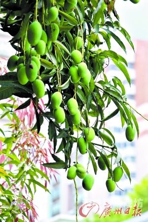 国产精品一区，无碼新闻资讯菠萝蜜在线观看免费观看电视