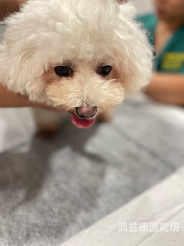 99re这里只有精品热久久百度搜索热门文章，99re精品热久久——揭秘最新热点与优惠活动