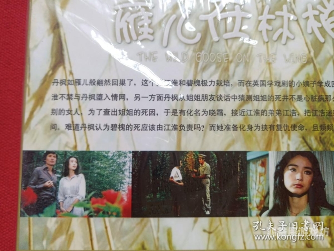 中文字幕高潮波多野结衣，时尚魅力与神秘故事