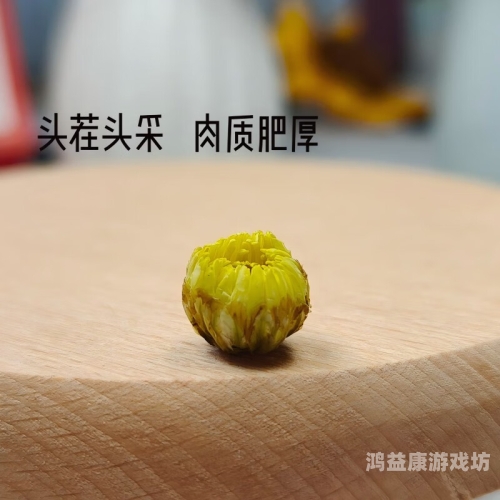 精品无码成人久久久久久精品无码成人网站热搜，久久久久久，展现成人资讯的独特魅力