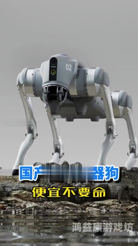 国产无码内涵专区国产无码内涵专区文章