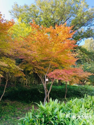 草草一级一区二区无码影院草草一级一区二区，无码影院揭秘