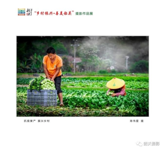 国产农村一级特黄妇女A片，展现乡村女性的独特魅力