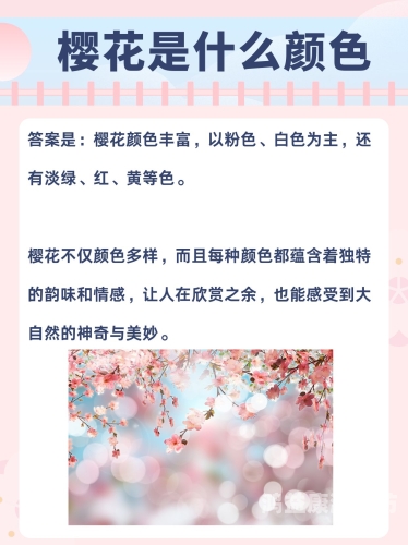 色综合，新闻资讯网站深度解析综合色是什么颜色