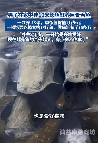 国产精品合集，BT伙伴带你探索最新好物bt伙计九千克