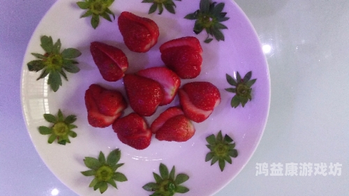 草莓视频无码ā片在线观看，探索视频内容的无限可能草莓视频无马
