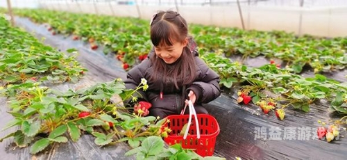草莓网站成人18在线观看草莓网站成人内容在线观看，探索网络世界的隐秘角落
