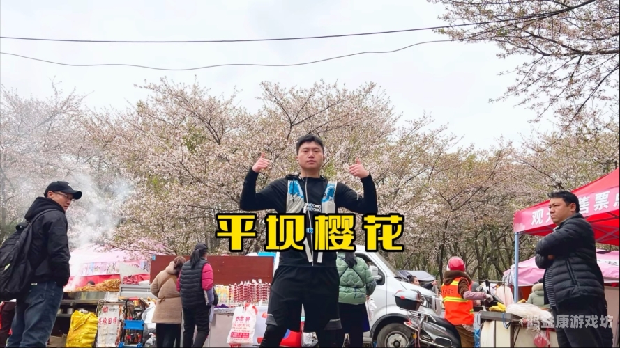 樱花视频成人黄版免费看，探索视频内容的深度与广度樱花视频黄埔
