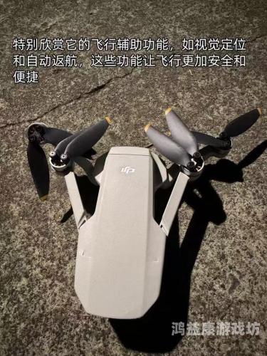 探索无码毛片视频免费看片的神秘世界