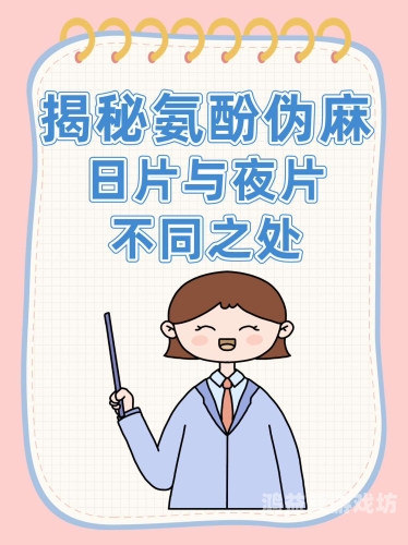 麻AV啪毛片在线，探索网络热潮下的新奇体验