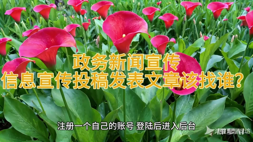 百度搜索热门文章，www.3xxbb.com 新闻资讯网站角色设定与文章内容
