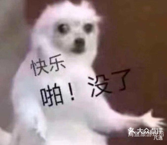 天天综合，干婷婷新闻深度解析天天综合r凡