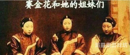 夜夜爽妓女8888福利免费看夜夜爽福利，8888妓女免费看角色设定与文章内容