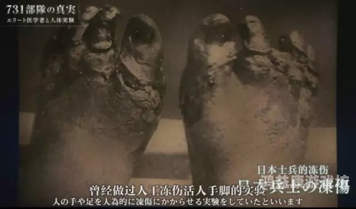 18禁黄网站禁片无遮挡观看APP，探索安全与便捷的双重体验18禁黄网站禁片无遮挡观看|亚洲国产欧美