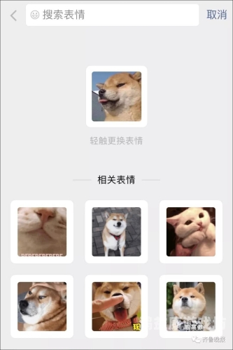 GV在线观看私密高清无码，探索高清视频的无限魅力