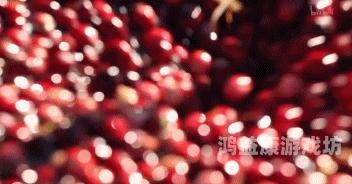 国产精品无码一区二区色欲国产精品无码一区二区色欲，引领潮流的视觉盛宴