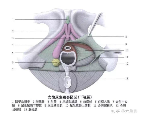 女人高潮呻吟十八禁A片文章