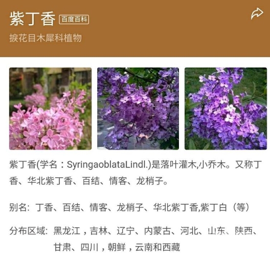 狠狠噜狠狠狠狠丁香五月狠狠噜狠狠狠狠丁香五月，新闻资讯解读