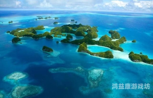 黄色岛国网站揭秘，隐藏在互联网背后的神秘世界黄色岛国网站下载