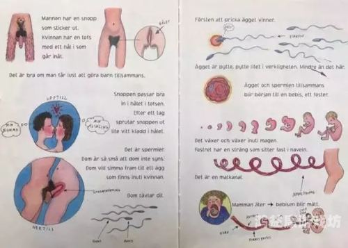 成人性教育AV成人性教育，探索AV领域的多元魅力
