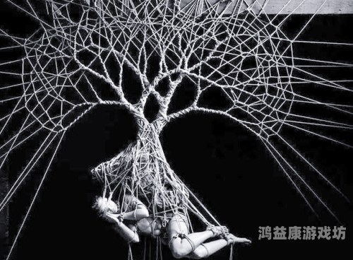 长靴下的神秘世界，探索SM调教网站