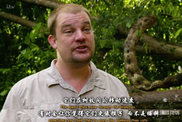 亲爱的,帮我下载免费好看的毛片和黄片,谢谢宝贝免费高清毛片与黄片推荐，让你欲罢不能的视觉盛宴