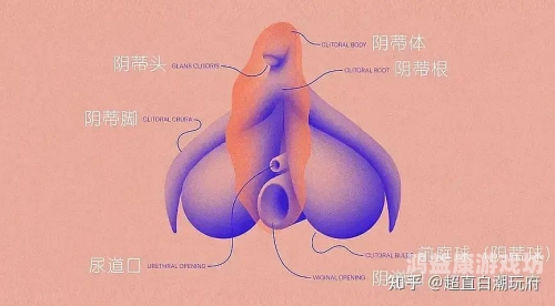 男女激情高潮瞬间，揭秘性爱中的喷涌瞬间