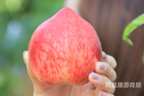 午夜香蕉成视频蜜桃午夜香蕉成视频新宠，蜜桃般的梦幻体验