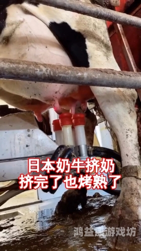哺乳挤奶，亚洲与日本的女性育儿文化新篇章母乳喂养挤奶宣传片标清