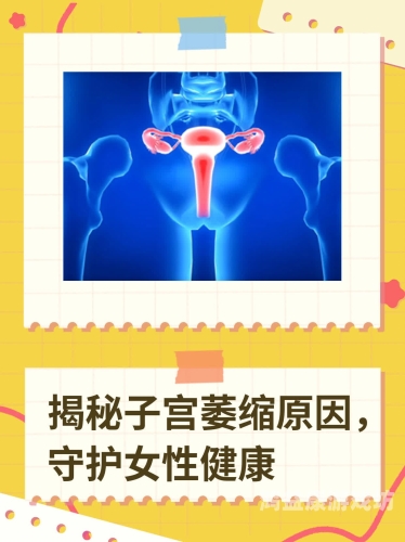 孕妇新闻，全面揭秘孕期生活与性水蜜桃在线播放