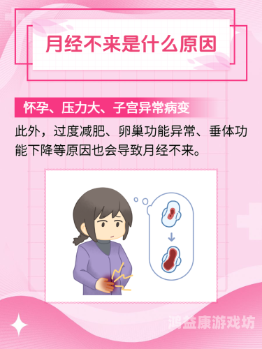 孕妇新闻，全面揭秘孕期生活与性水蜜桃在线播放