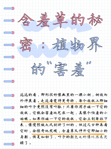 fi11.cnn新闻资讯，神秘植物fi11.cnn含羞草