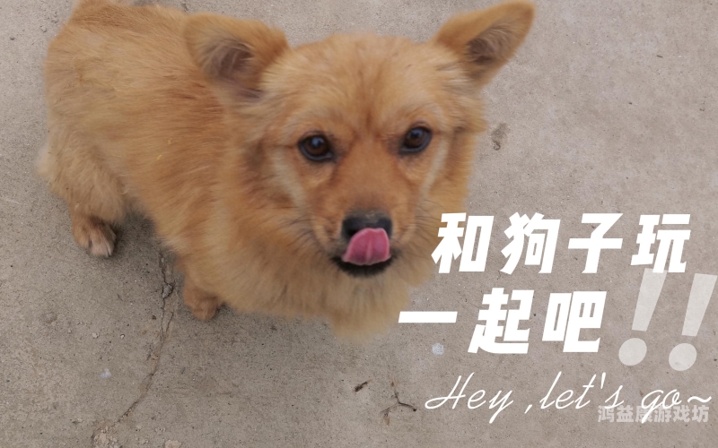 人狥杂交一区欧美二区人狥杂交，欧美区新闻资讯