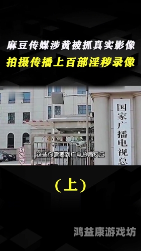 国产麻传媒精品，揭秘AV勾背后的新闻资讯