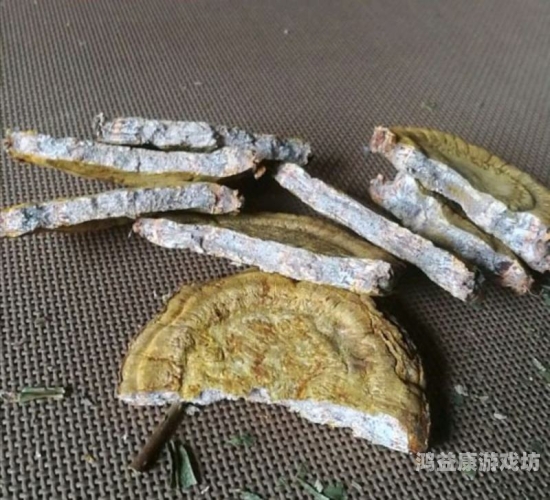 欧洲一级大黄片欧洲一级大黄片，水蜜桃在线播放与保健的新选择